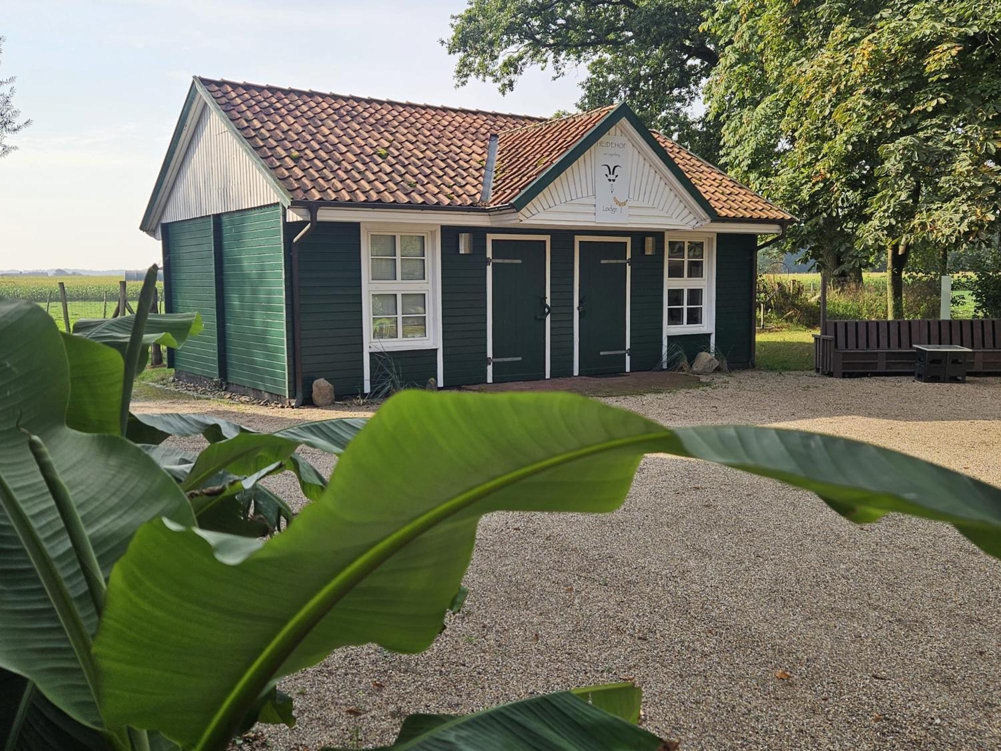 Ferienhaus Banana Lodge Bruchhausen-Vilsen Exterior photo